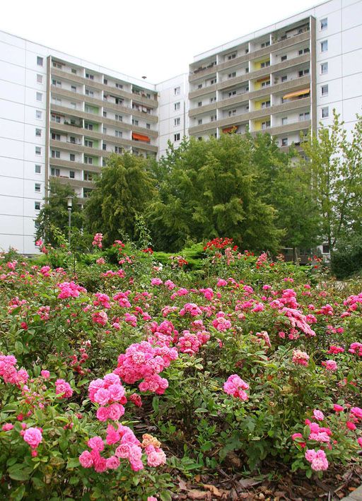 Straße des Friedens (1)