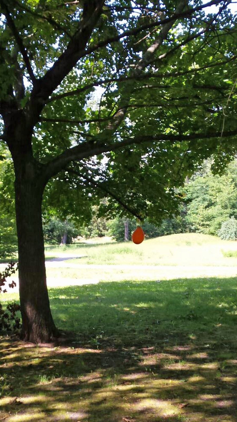 Klicken um Bild der Bildergalerie 'Medien' an Position 2 zu vergrößeren